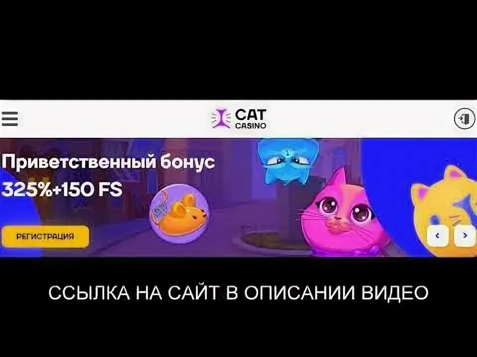 Сайт cat casino play official cat shop. Cat Casino регистрация. Супер Кэт казино регистрация. Промокод Кэт казино.