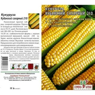 Содержание кукурузы