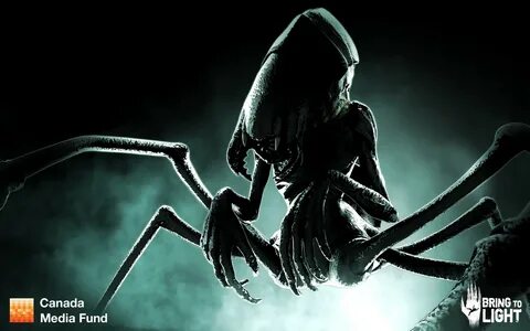 Shadow spider