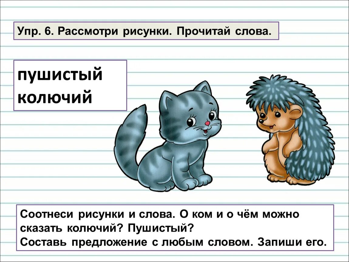 Прочитайте текст и согласуй его с рисунком. Слово рисунок. Предложение со словом пушистый 1 класс. Предложение со словом пушистый. Пушистый составить предложение.