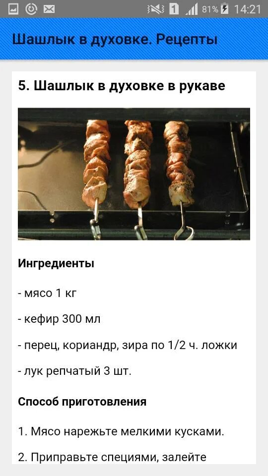 Шашлык в духовке. Электродуховка для шашлыка. Режим духовки для шашлыка. Духовка для шашлыка электрический. Шашлычный режим