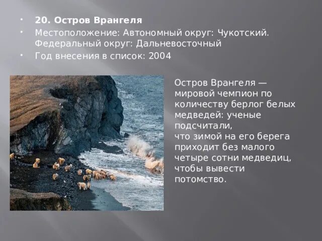 Остров врангеля всемирное наследие юнеско. Заповедник остров врангеля эмблема. Остров врангеля год внесения в юнеско. Объект всемирного наследия остров врангеля. Природные объекты юнеско остров врангеля.