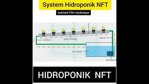 Nft как заработать