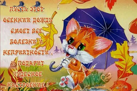 Добрый день несмотря на погоду