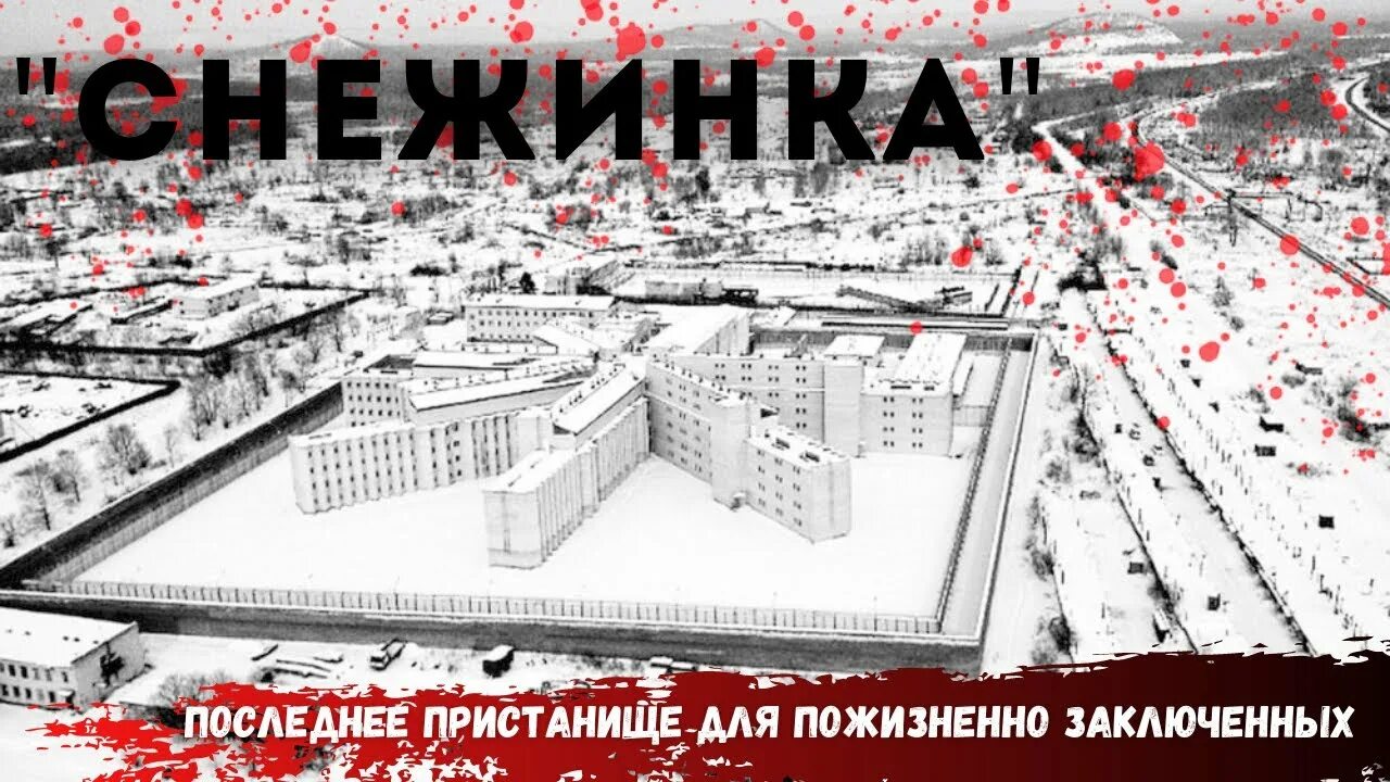 Снежинка заключенные. Ик-6 поселка эльбан «снежинка». снежинка хабаровск тюрьма. снежинка эльбан хабаровский край. снежинка тюрьма в эльбане.