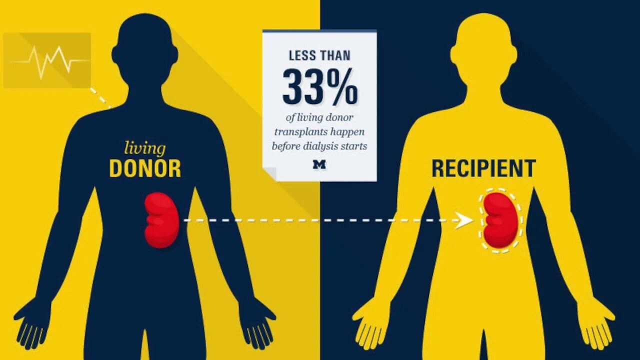 Донор и реципиент. Реципиент в трансплантологии. Реципиент картинки. Универсальными донорами являются люди