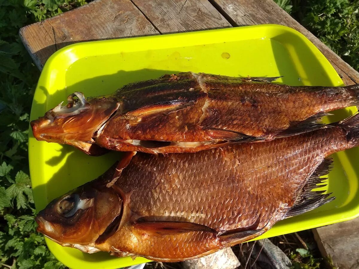 Рыба холодного копчения лещ. Копчение леща в коптильне. Карп горячего копчения. Копченый лещ горячего копчения. Копчение лещей в коптильне.