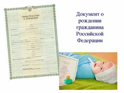 Как оформить свидетельство
