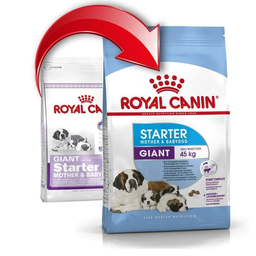 Корм royal canin для мелких собак. Роял Канин стартер для щенков. Корм для собак Роял Канин для щенков крупных пород. Royal Canin Starter giant для щенков. Роял Канин Джайнт стартер для щенков.