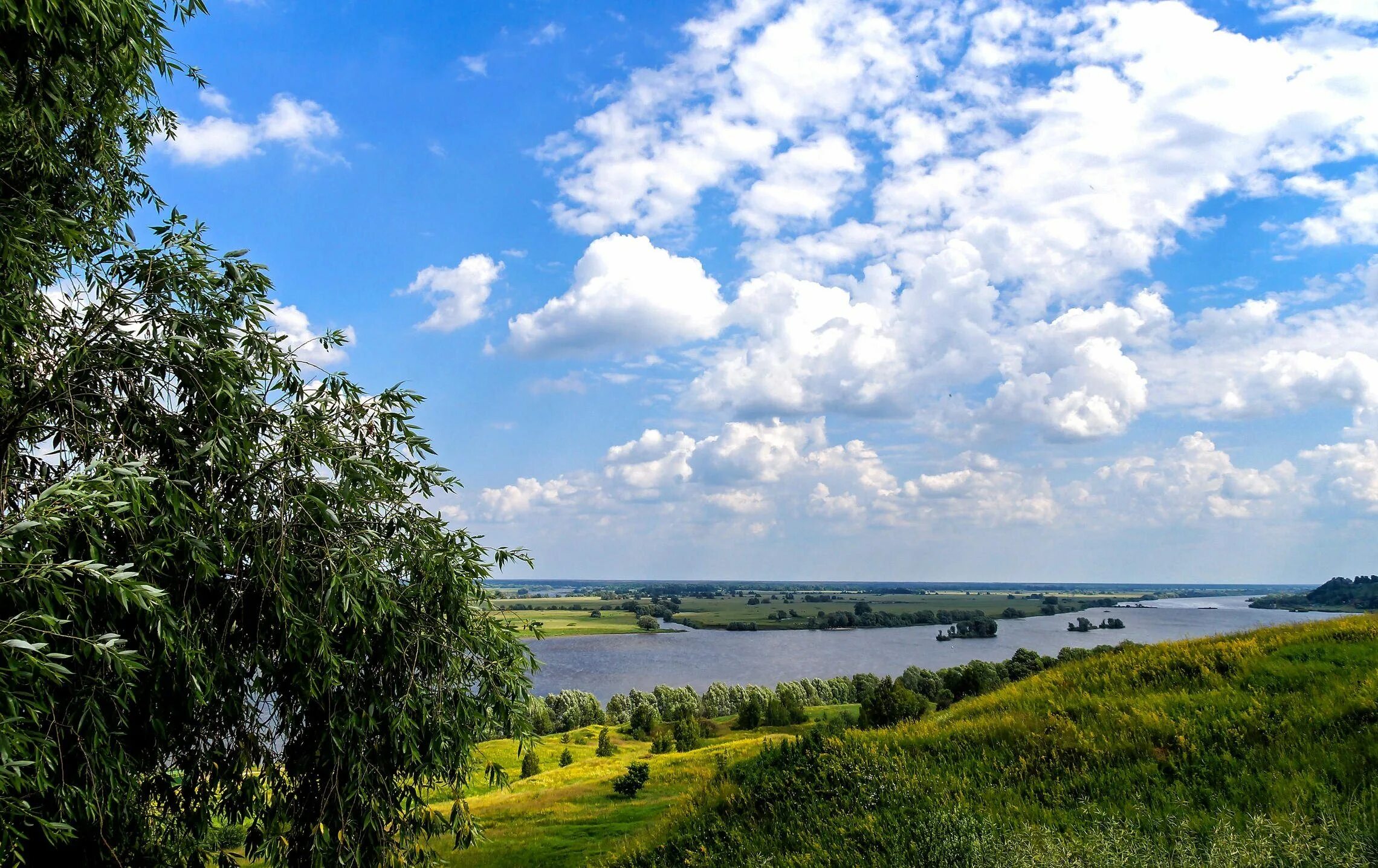 Побережье у реки ока. Берег реки ока. Река ока в подмосковье. Берег реки ока. Константиново рязанская область берег реки оки.