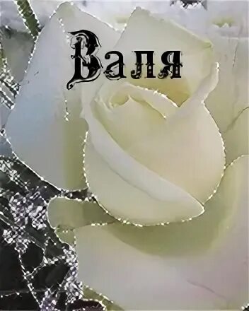 Напиши вале