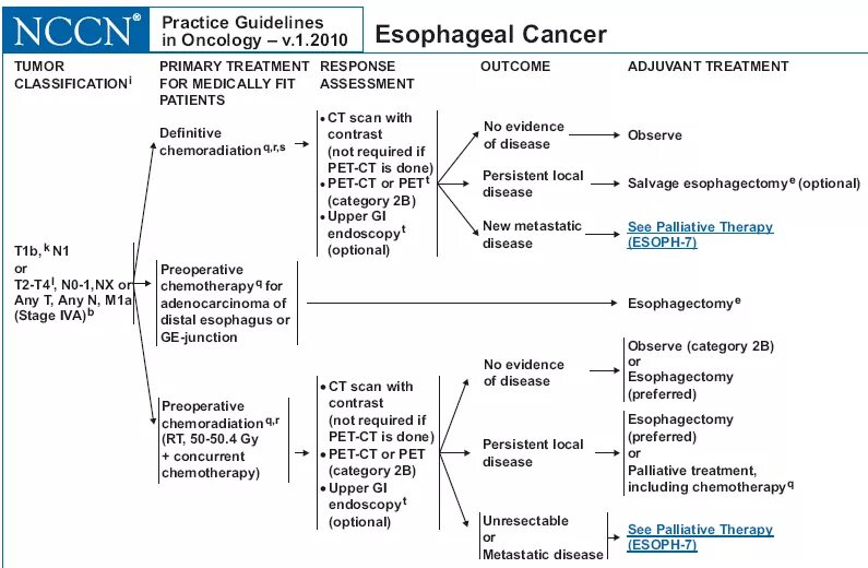 Nccn guidelines cancer. Nccn gastric cancer guideline. nccn oncology.