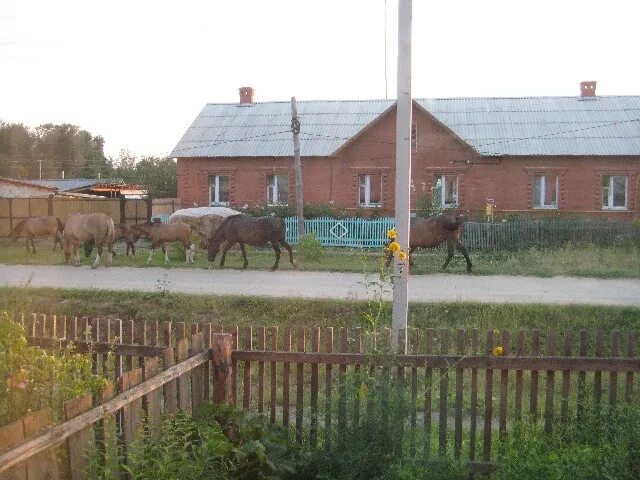 Погода п заречный. Поселок Заречный Вагайский район. Поселок Заречный Вагайский район Тюменская область. Ушаково Вагайского района. Ушаково Вагайского района Тюменской области.