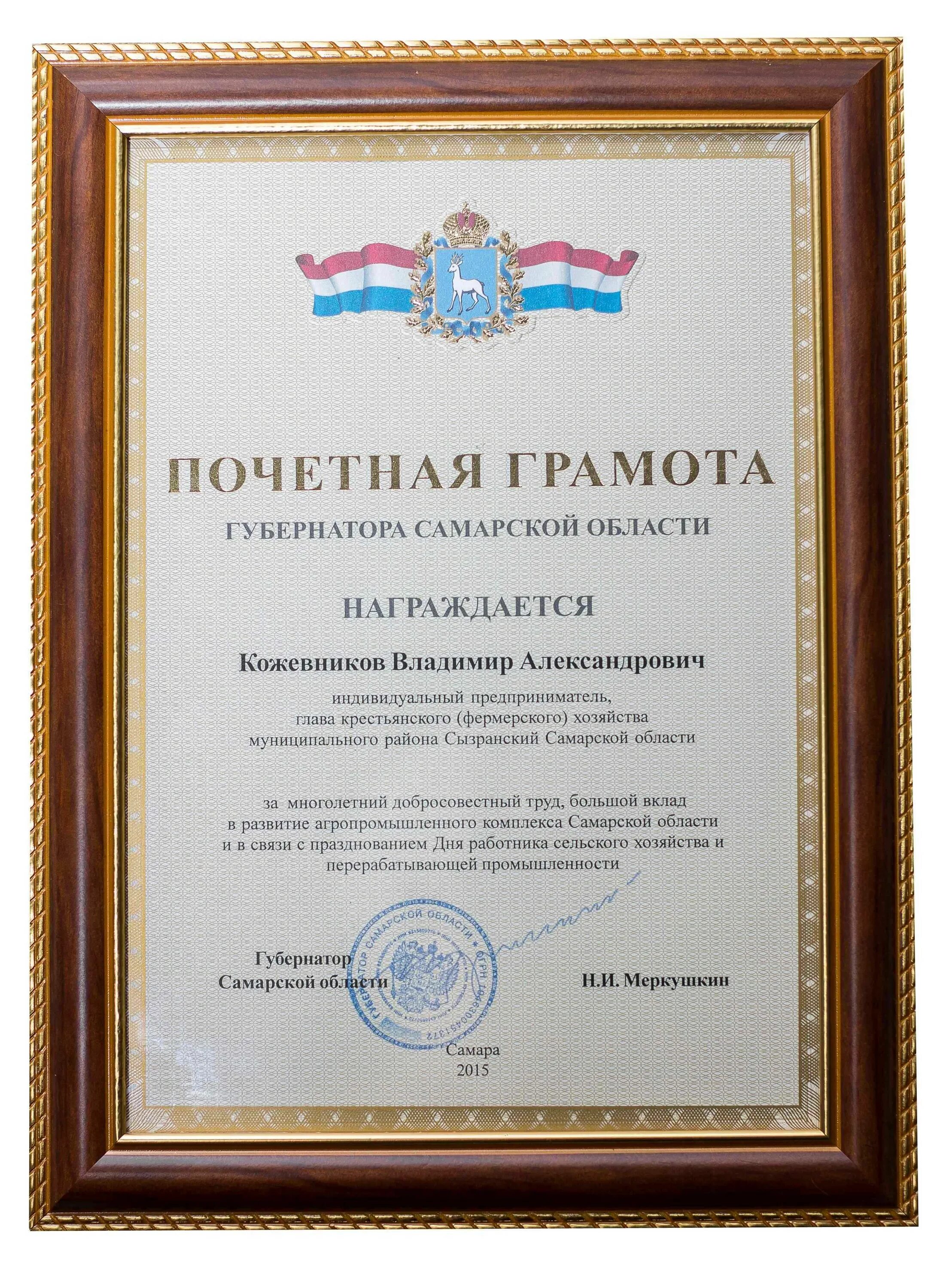 Грамота губернатора выплаты. Грамота руководителю. кфх грамота.