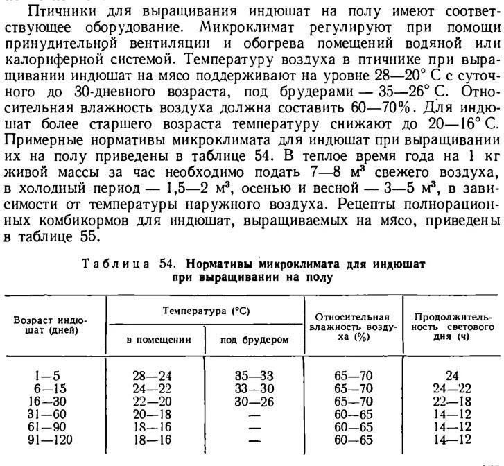 Температура в брудере для индюшат. Таблица температурный режим выращивания индюшат. Температурный режим для индюшат таблица в брудере. Таблица температуры для индюшат с первых дней. Температурный режим для индюшат таблица.