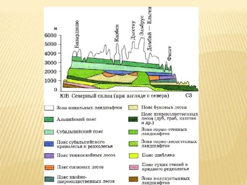 Направление простирания горной системы кавказа. Схема ВЫСОТНОЙ поясности гор Кавказа. Высотная поясность гор Кавказа. Схема ВЫСОТНОЙ поясности Кавказа. Высотная поясность большого Кавказского хребта.
