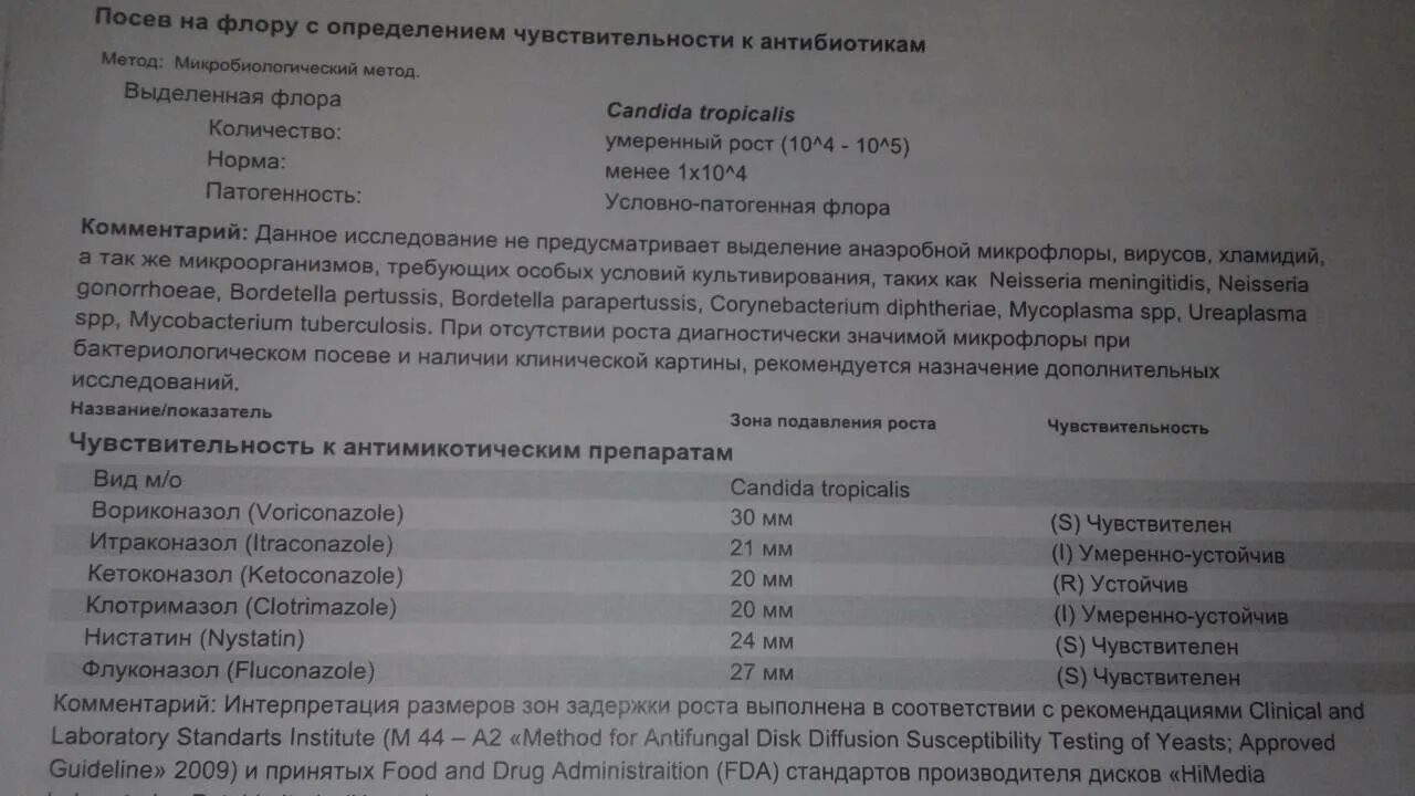 Нет роста микрофлоры. Нет роста микрофлоры
