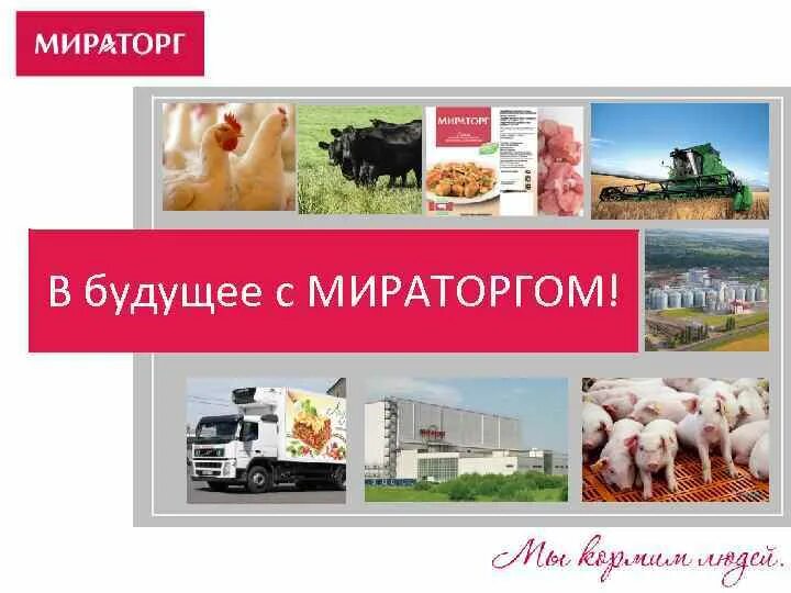 Мираторг приложение айфон. Мираторг. агрохолдинг мираторг. мираторг презентация. логотип компании мираторг.