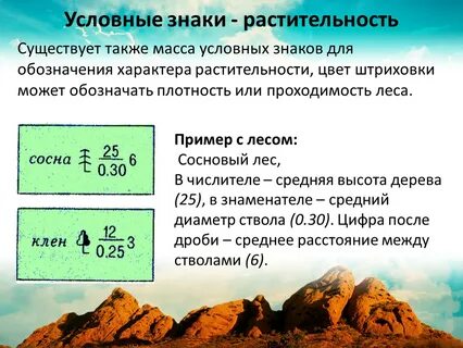 Какая плотность в лесу