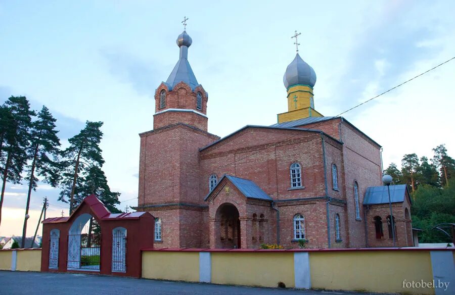 Волпа волковысский