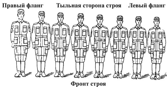 Строй шеренга фланг фронт. Строй - шеренга - фланг - фронт - интервал -. Одношереножный Строй и двухшереножный Строй. Что такое Строй шеренга фланг фронт тыльная сторона строя. Как называется правая левая оконечность строя физкультура