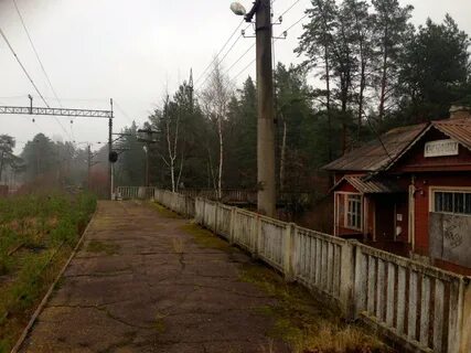 Лебяженское городское поселение