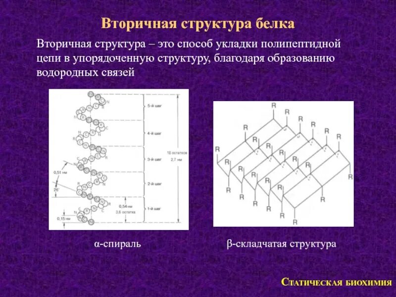 Вторичная структура какие связи. Вторичная структура белка бета складчатый слой. Бета спираль вторичной структуры белка. Вторичная структура белка складчатая. Бета слой вторичной структуры белка.