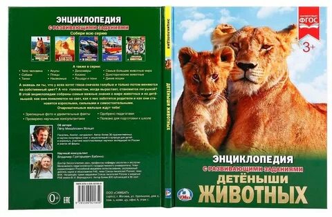 Энциклопедия с заданиями