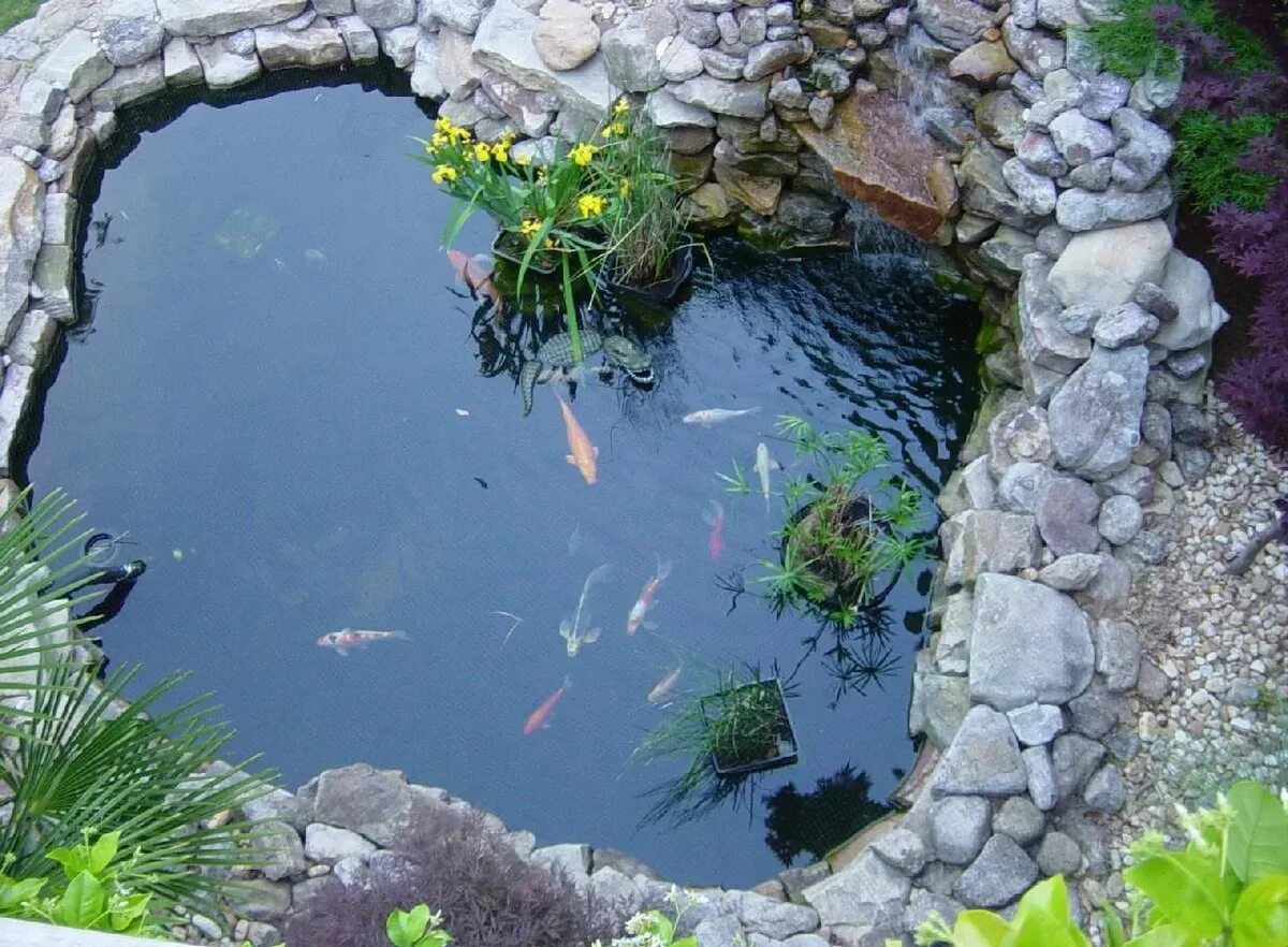 прудик в саду. нужно сделать пруд. искусственный пруд для разведения рыбы. пластиковый пруд для дачи. нужно сделать пруд.