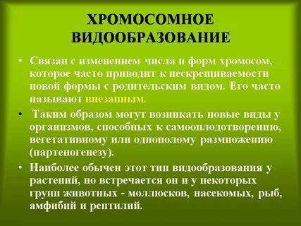 Способы видообразования 9 класс