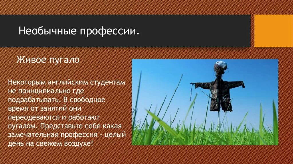 Редкие и необычные профессии. Необычные профессии. необычные профессии презентация. необычные профессии презентация для детей. самые необычные профессии.