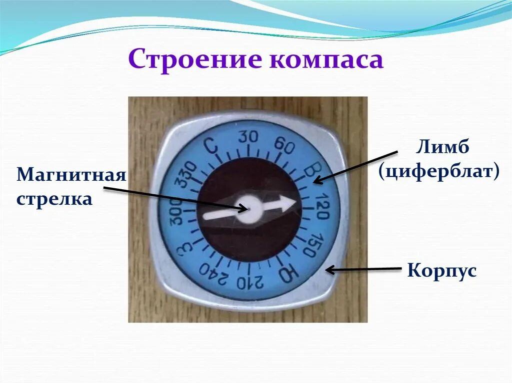 Компас это 2 класс окружающий мир. Строение компаса. Строение магнитного компаса. Строение компаса для детей. Компас строение компаса.