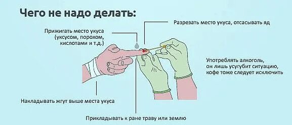 Разрешил пососать