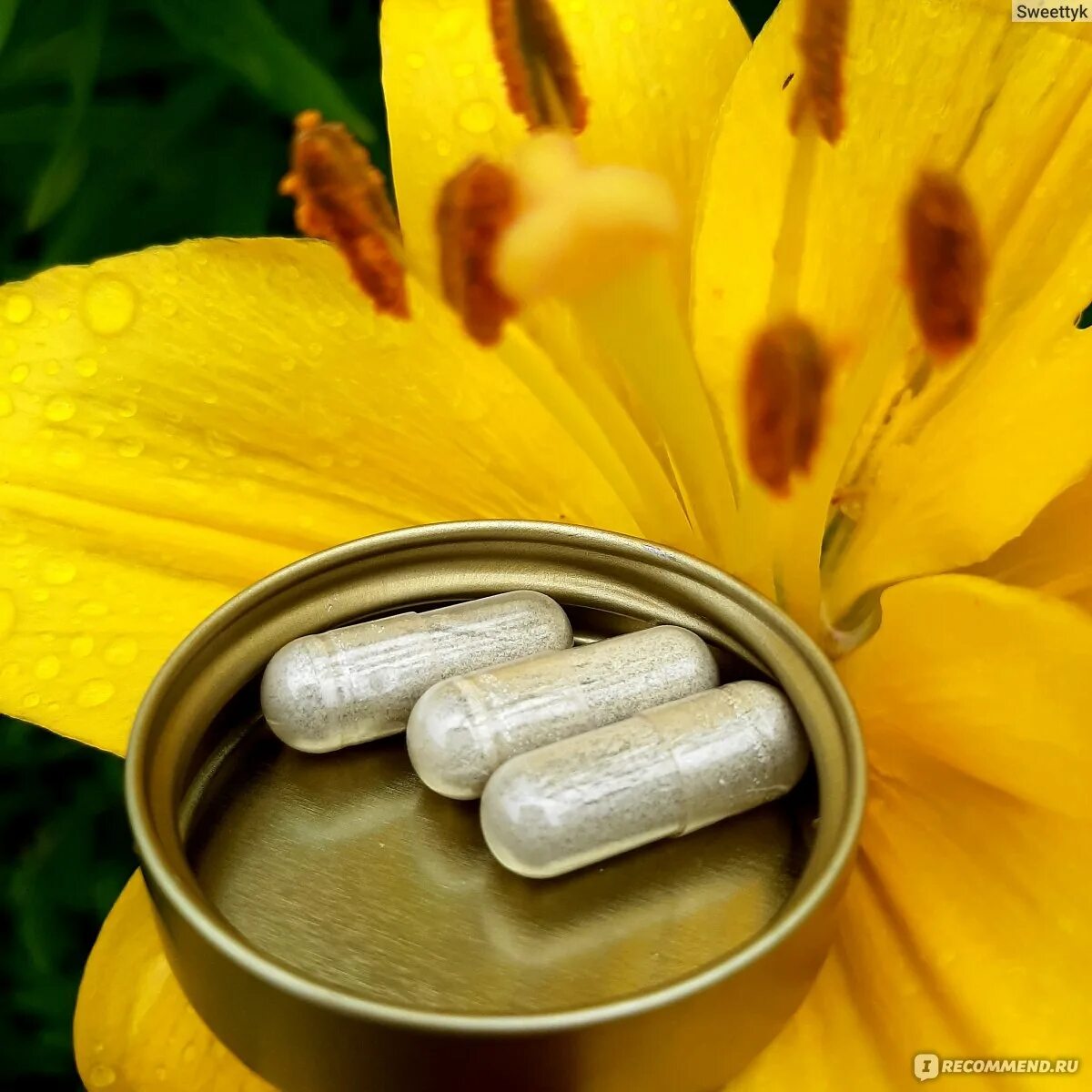 Vivacia ultra iron complex капс 60. Vivacia ultra iron complex капс 60 шт железо витамины и минералы. Now iron complex. Ultra iron complex. Vivacia red clover экстракт клевера красного 1000 мг таб 60.