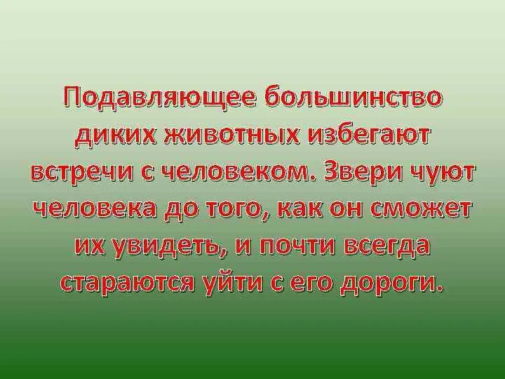 Дикие животные обж 8 класс. Правила безопасности с дикими животными. как избежать встречи с дикими животными. презентация по обж встреча с дикими животными. встреча с дикими животными правила безопасности.