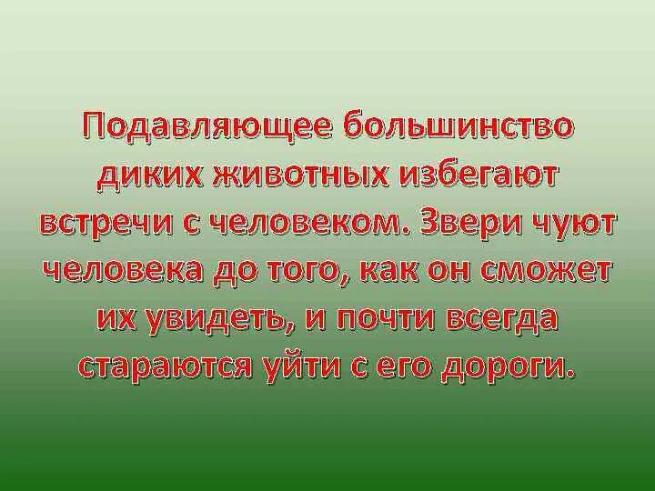 Правила безопасности с дикими животными. Опасности при встрече с дикими животными. Как избежать встречи с дикими животными. Презентация по ОБЖ встреча с дикими животными.