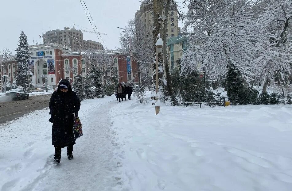 Прогноз в душанбе сегодня. Снег в Ташкенте. Снежный Душанбе. Снег в Таджикистане. Душанбе зимой.