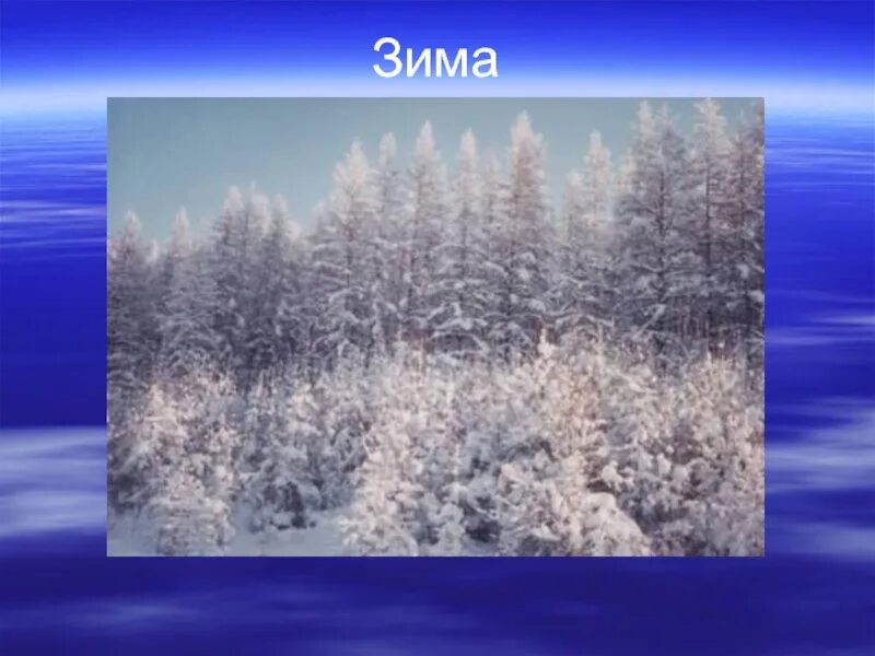 Признаки зимы в неживой природе. Зимние явления в живой и неживой природе. зимние явления 2 класс. зима живая природа 2 класс. зима в неживой природе 2 класс окружающий мир.
