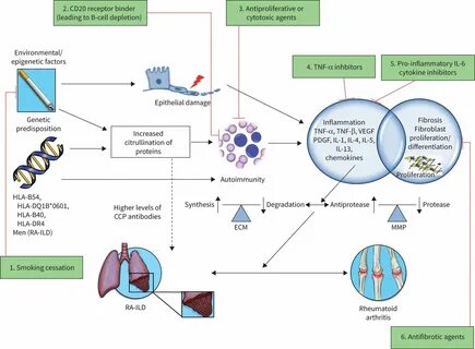 Diseases associated
