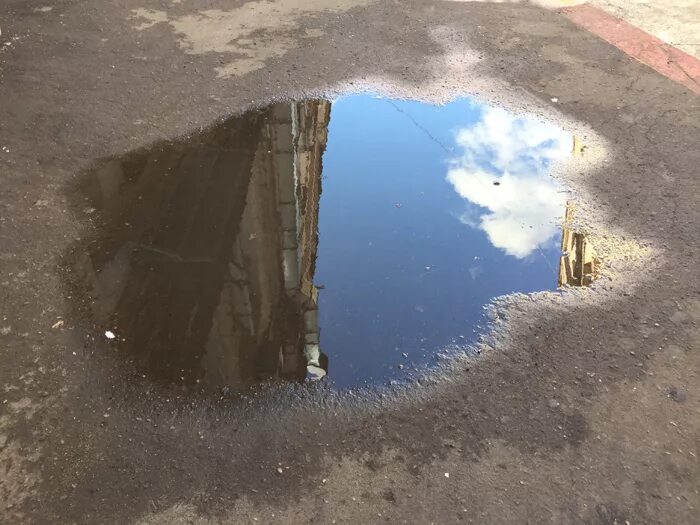 Красиво сфотканная лужа. Лужа будто. Отражения деревьев в лужах. Мокрый асфальт. Блики на асфальте.