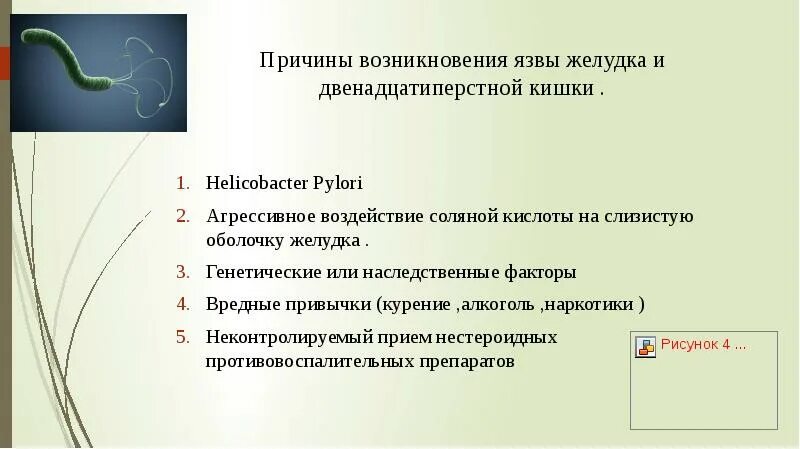 При какой температуре погибает хеликобактер. При какой температуре погибает хеликобактер