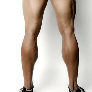 Legs pic
