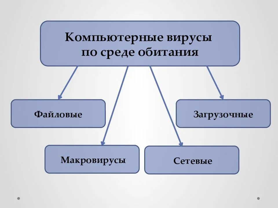Среда обитания алгоритма. Классификация вирусов среда обитания. классификация компьютерных вирусов среда обитания. классификация вирусов по среде обитания. компьютерные вирусы по среде обитания.