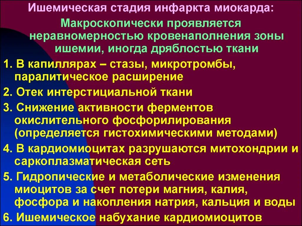 Стадии ишемии головного. Стадии развития инфаркта миокарда. Стадия ишемии инфаркта миокарда. Острый инфаркт миокарда стадии развития. Стадии инфаркта миокарда ишемическая некротическая.