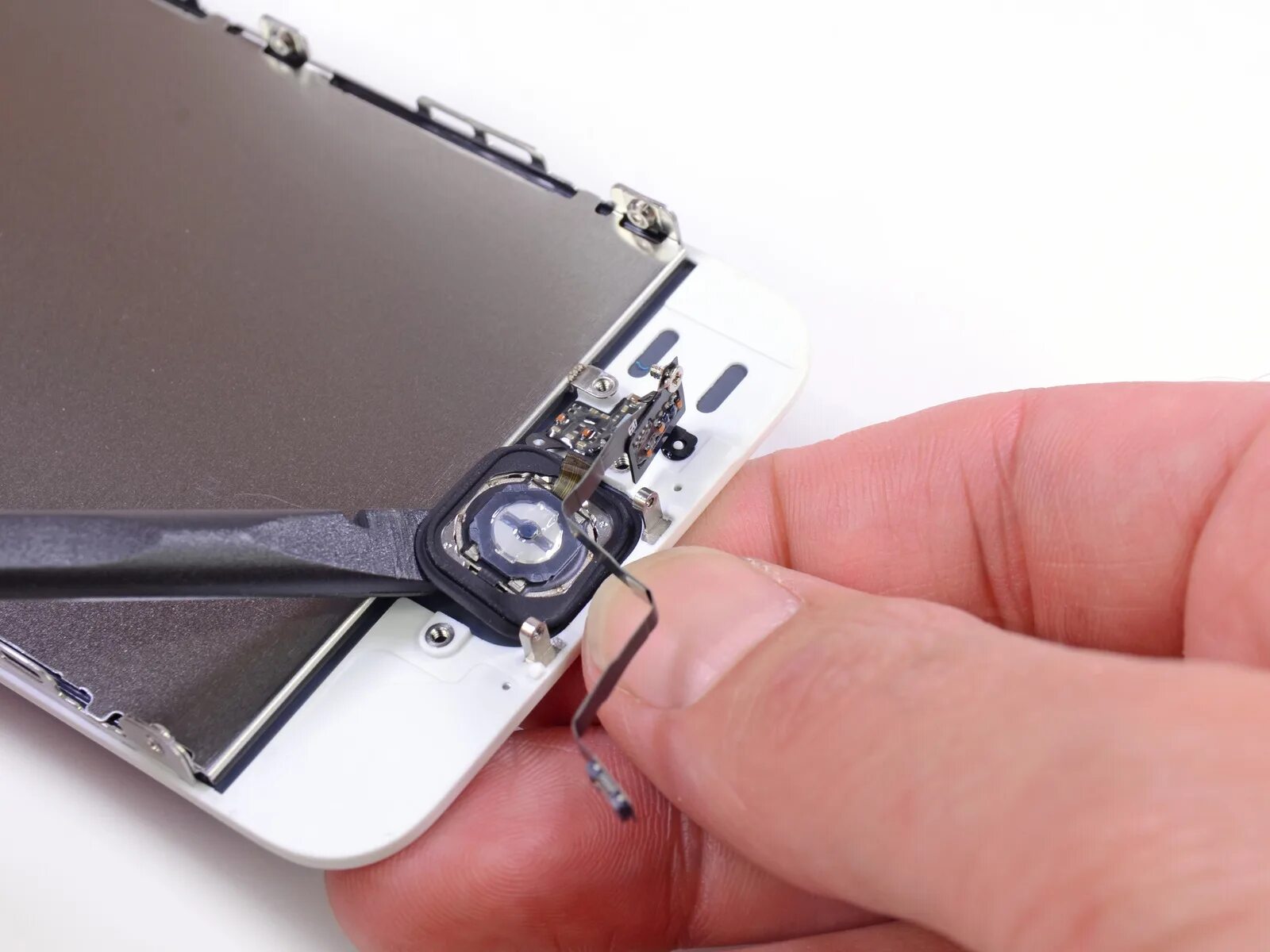 Кнопка тач айди. Iphone 5s тач id. touch id iphone 5. разобранный айфон 5s. iphone 5s немагнитный винт.