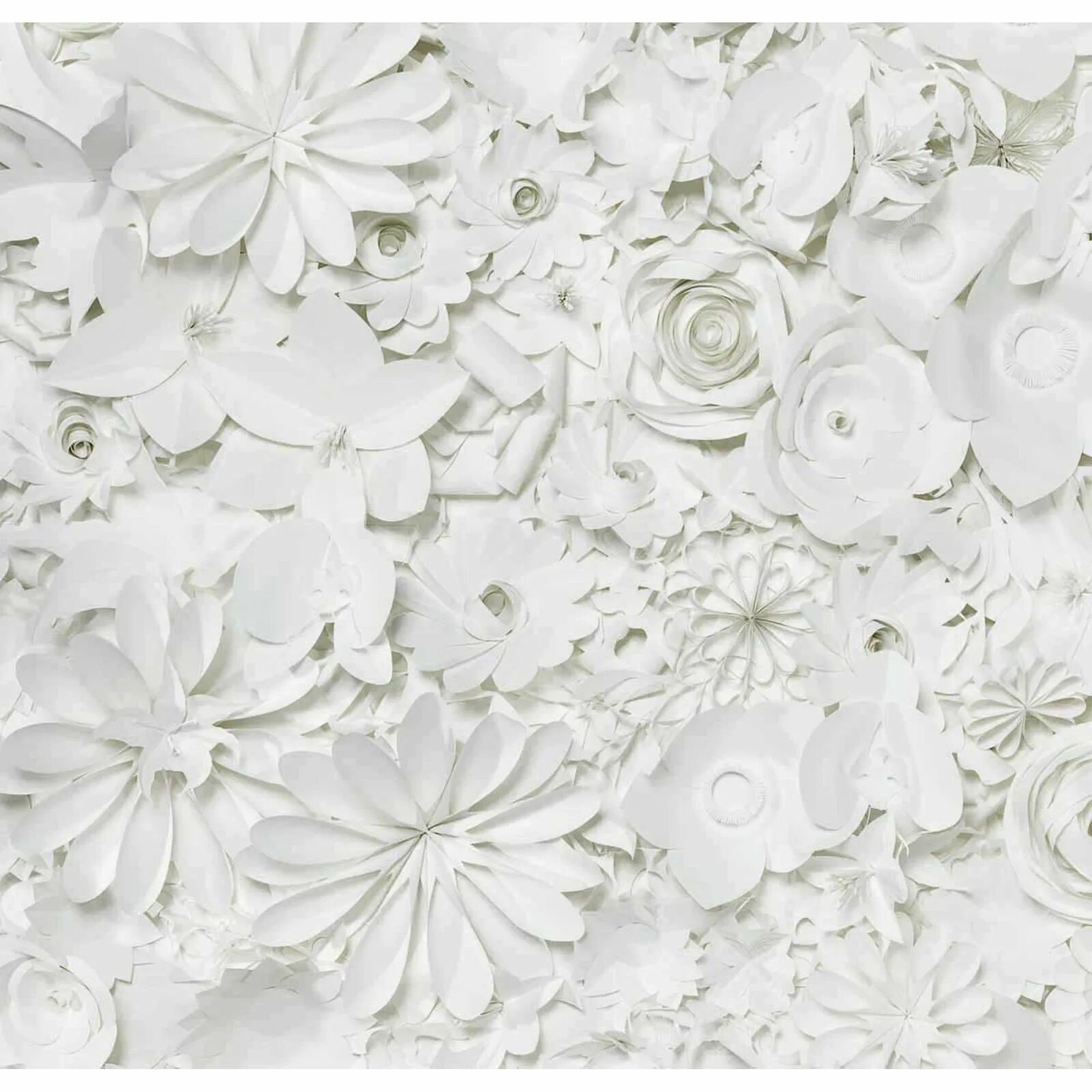 White color