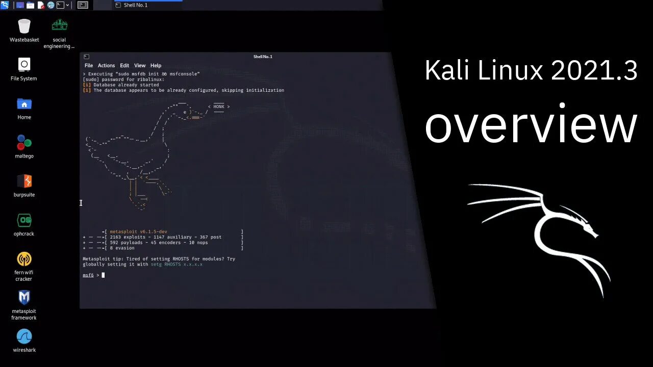 Kali linux интерфейс. Кали линукс 2025. кали линукс 2025.2. kali linux 2025.3. linux последняя версия 2025.