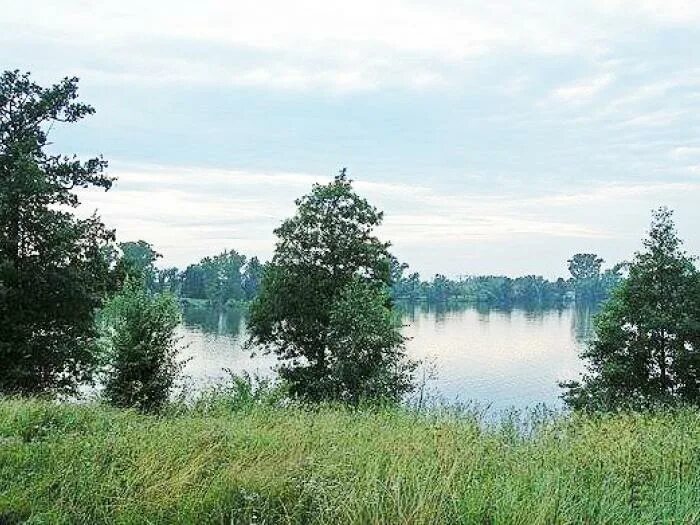 Дача в заозерье пермь. Заозерье коттеджный поселок. заозерье тверская область. заозерье калининградская область. заозерье калининград.