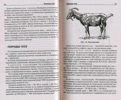 Породы содержание