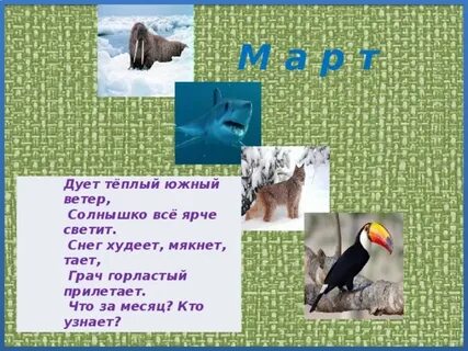 Южный теплый